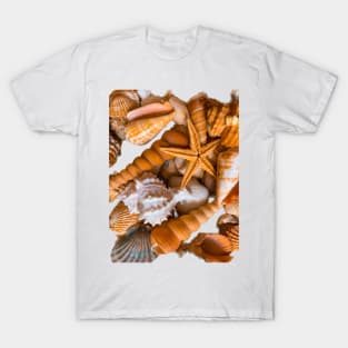 Summer Beach Seashells Travel T-Shirt